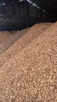 Wood Chips