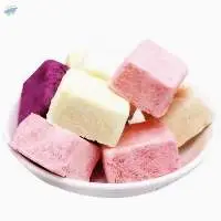 Freeze Dried Yogurt From Vietnam