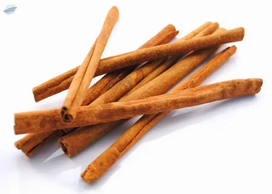 Stick Cassia From Vietnam