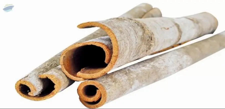 Whole Cassia From Vietnam
