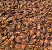 Broken Star Anise From Vietnam