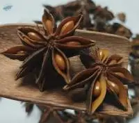 Autumn Star Anise From Vietnam