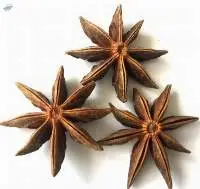 Spring Star Anise From Vietnam