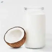 Coconut Milk from Vietnam