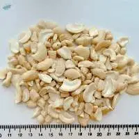 Cashew Nut From Vietnam