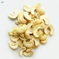 Cashew Nut from Vietnam