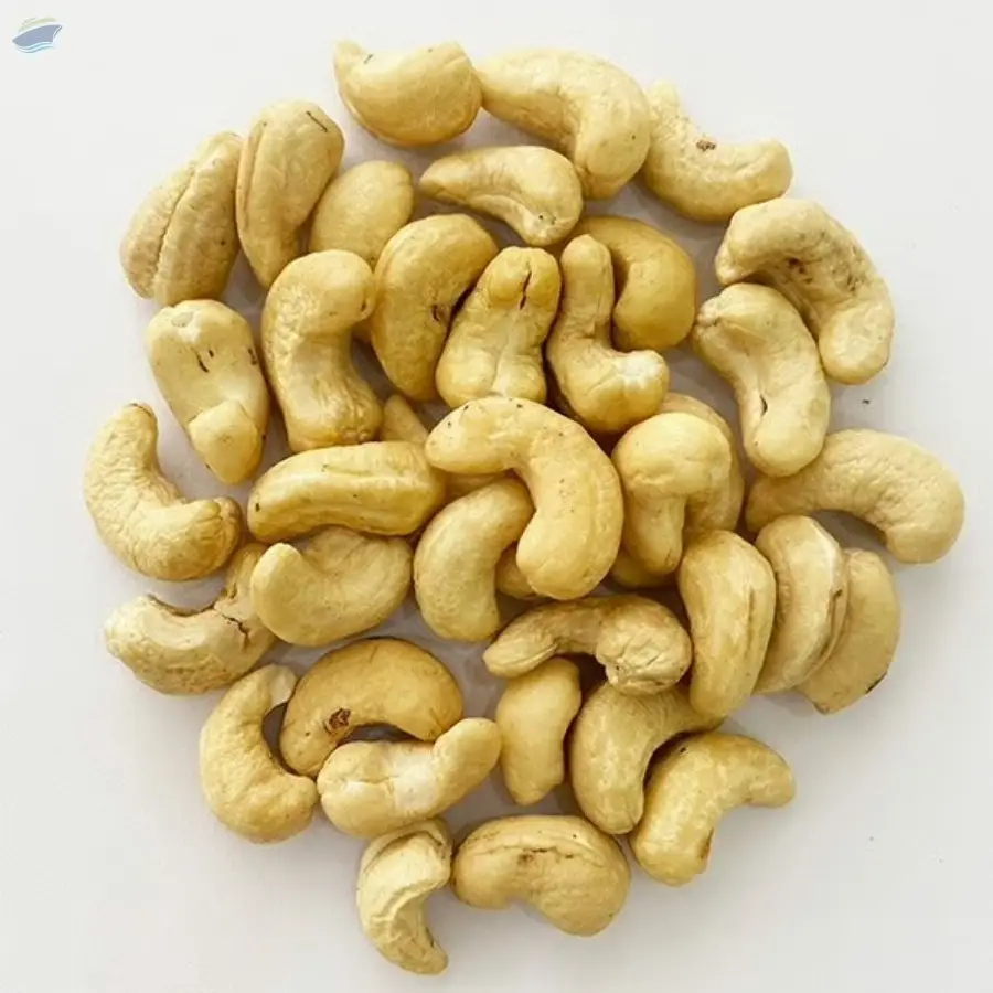 Cashew Nut From Vietnam