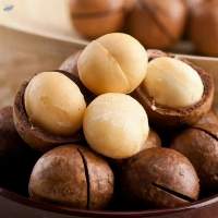 Macadamia from Vietnam
