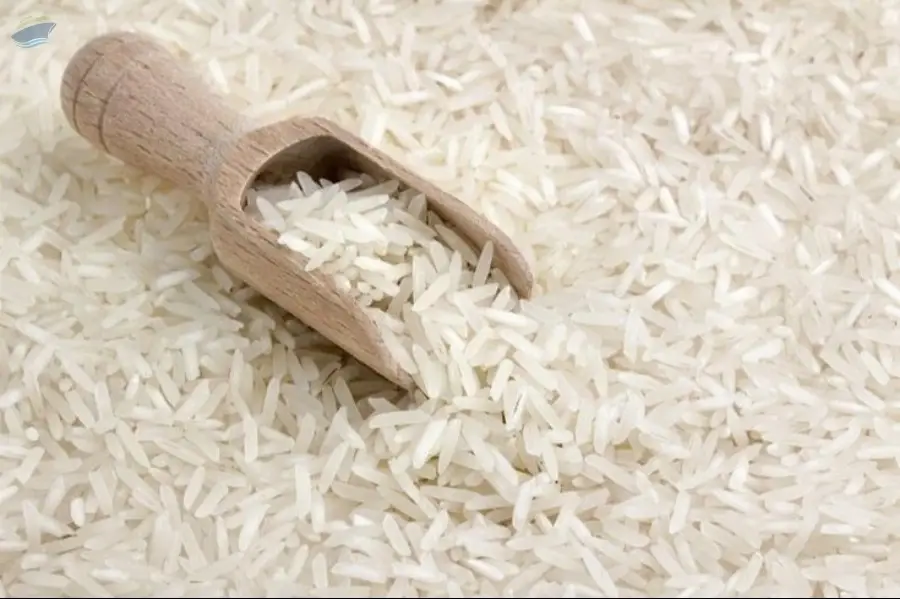 Premium Indian Basmati Rice
