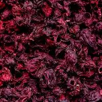 Hibiscus Flower