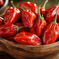 Fresh Red Pepper