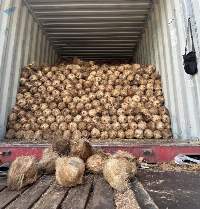 Semi Husked Coconut