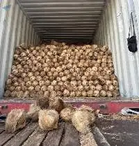 Semi Husked Coconut