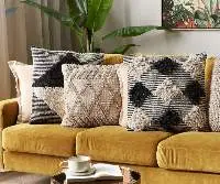 Cushion