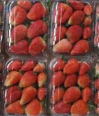 Frozen Strawberries