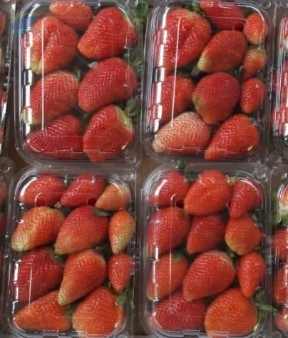 Frozen Strawberries