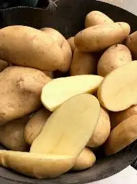 Potato