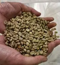 Arabica & Robusta Green Beans
