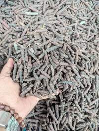 Spices - Long Pepper