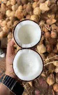 Semi Husked Coconut