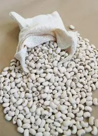 White Kidney Beans
