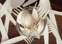 Disposable Spoons, Forks, Knives