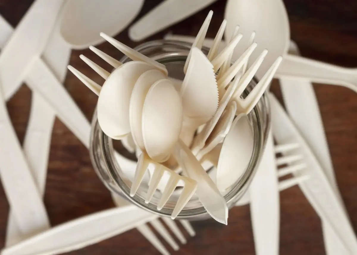 Disposable Spoons, Forks, Knives