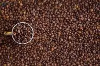 Cocoa Beans