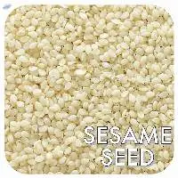 Sesame Seed