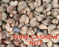Raw Cashew Nut