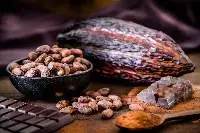 Cocoa Beans