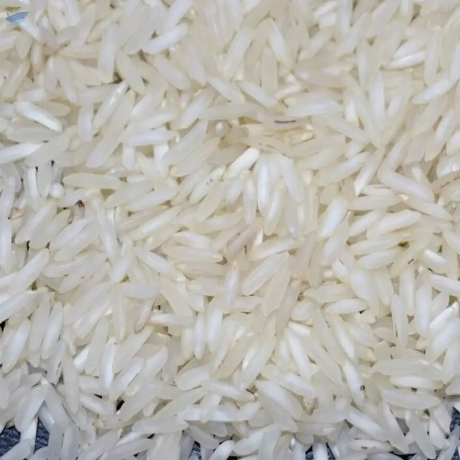 PR 11 RICE