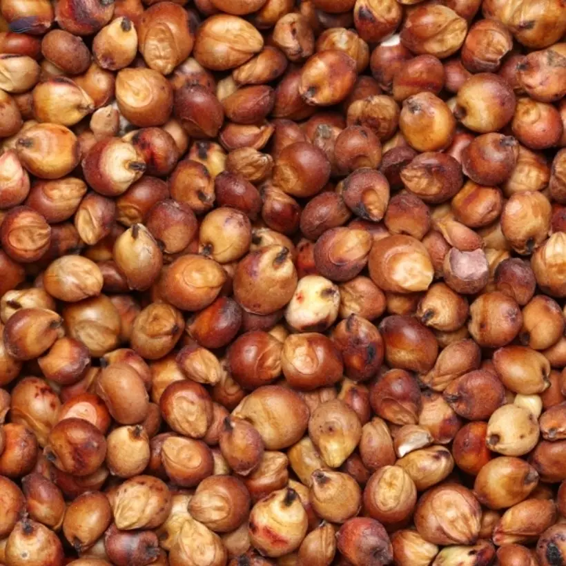 Red Sorghum