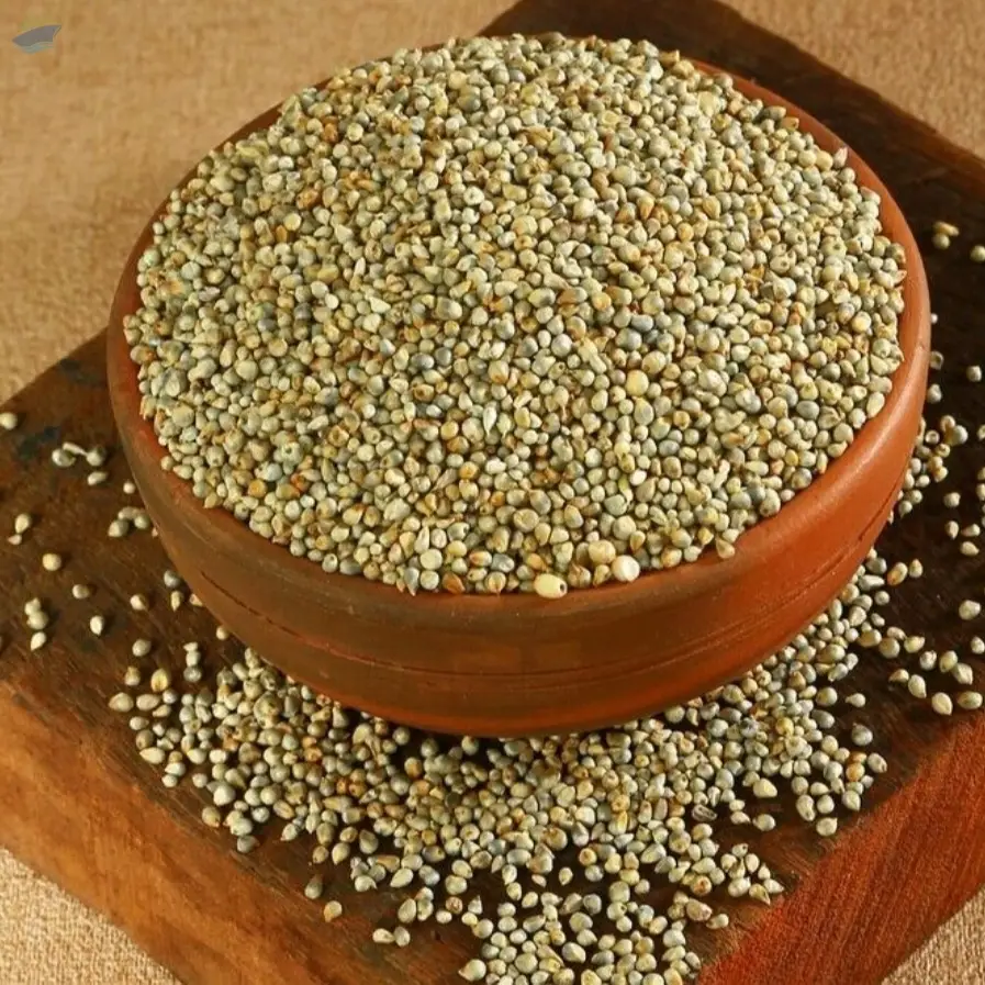Pearl Millet