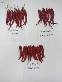BYADGI (STEM / STEMLESS)