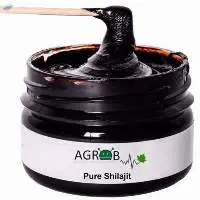 Mineral Pitch / Shilajit