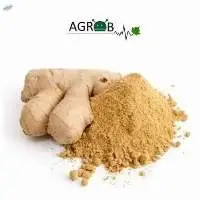 Ginger Extract