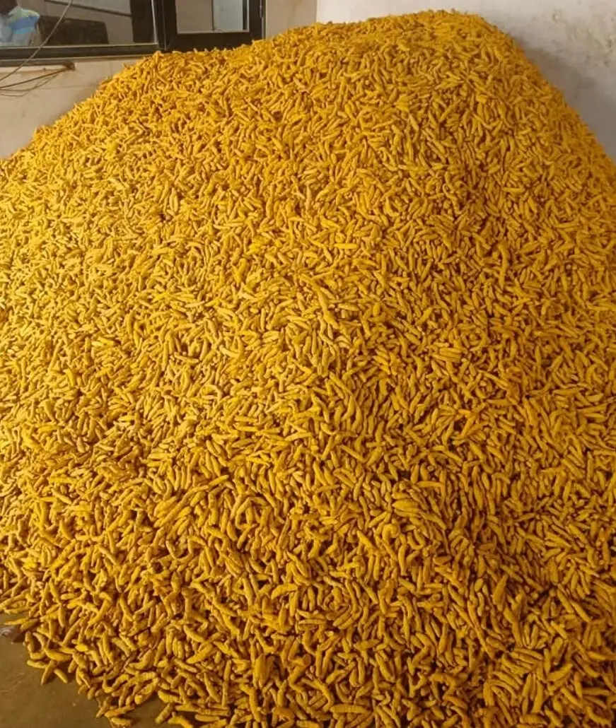 Turmeric Finger