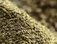 Yerba