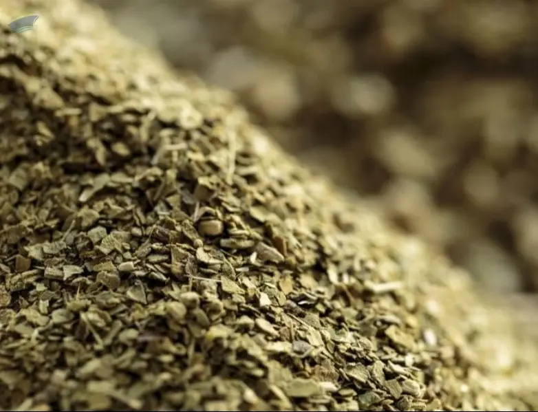 Yerba