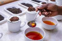 Orthodox Tea