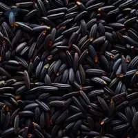 Black Rice