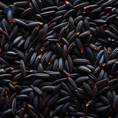 Black Rice