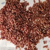Red Rice