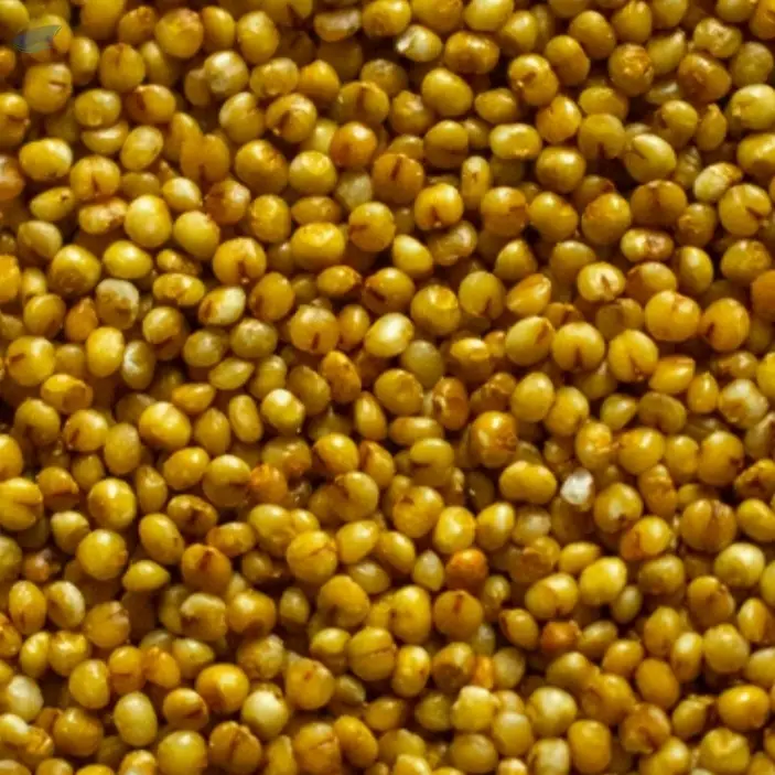 Kodo Millet for Bird food
