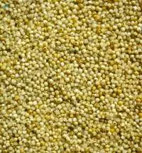 Barnyard Millets