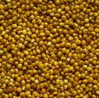 Kodo Millets