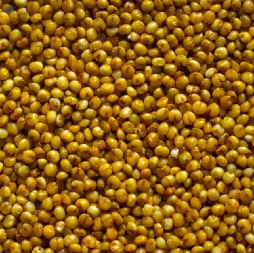 Kodo Millets