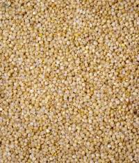 Little Millets
