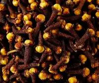 Clove